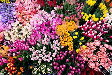 《战地2042》今年最后一次更新即将上线 提高子弹命中率